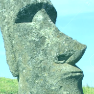 Photo du profil de l'utilisateur